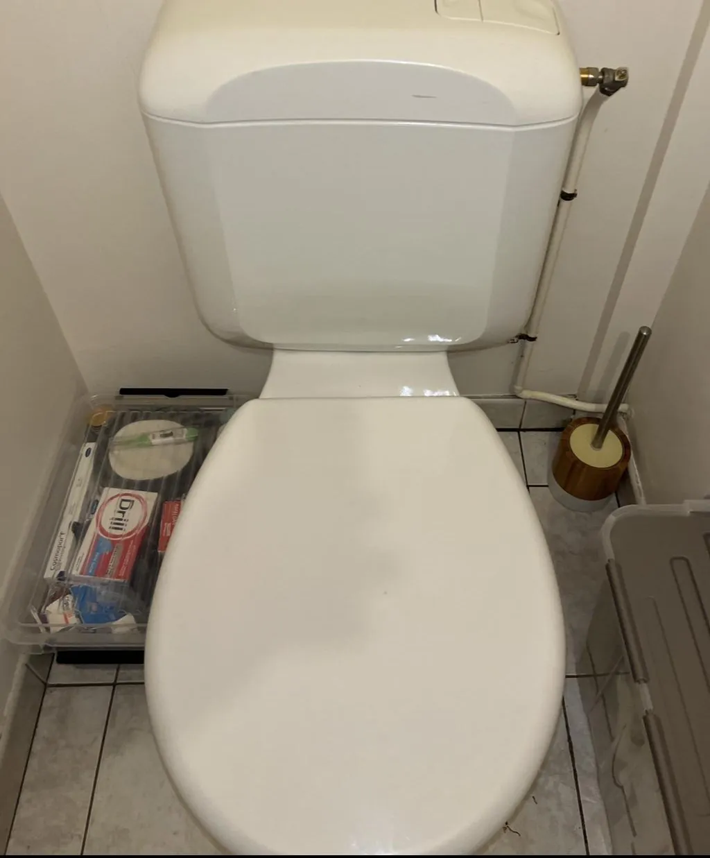 Installation et réparation de toilette